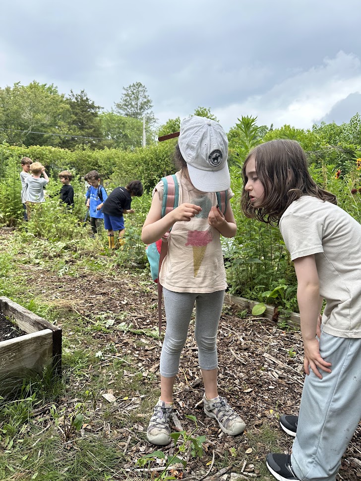 Field Trips at Sylvester Manor