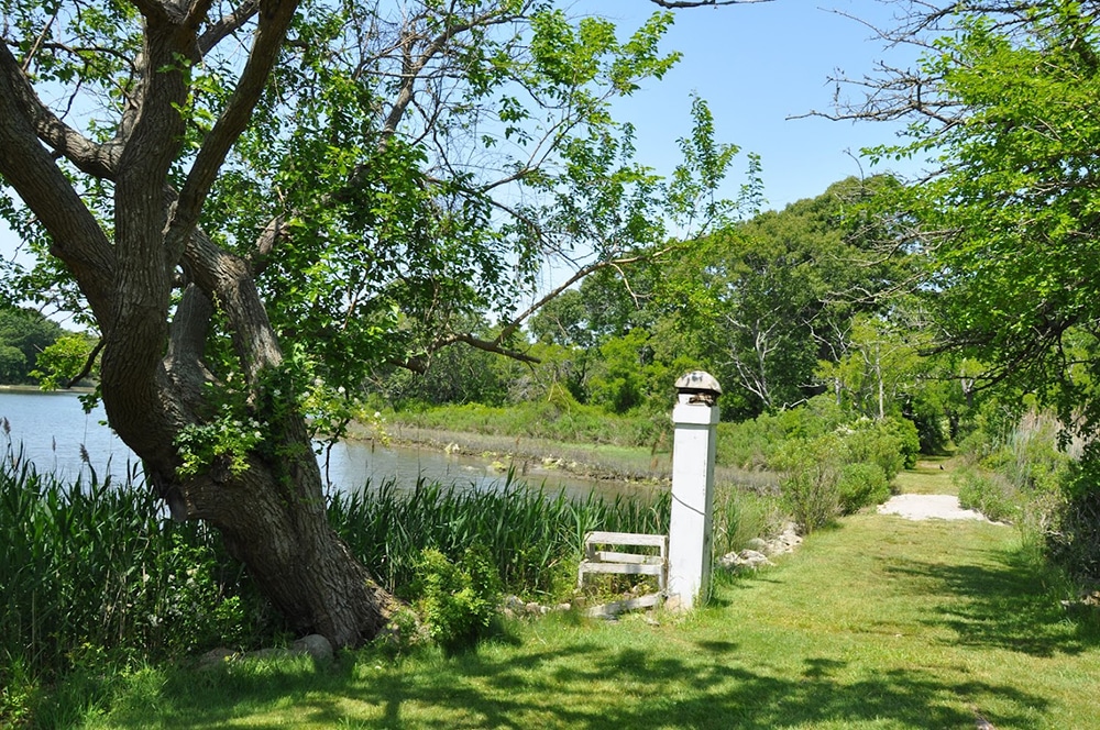 Trails and Grounds at Sylvester Manor