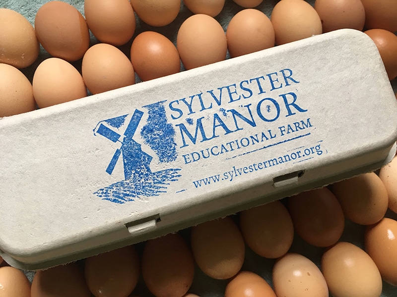 Egg share at Sylvester Manor