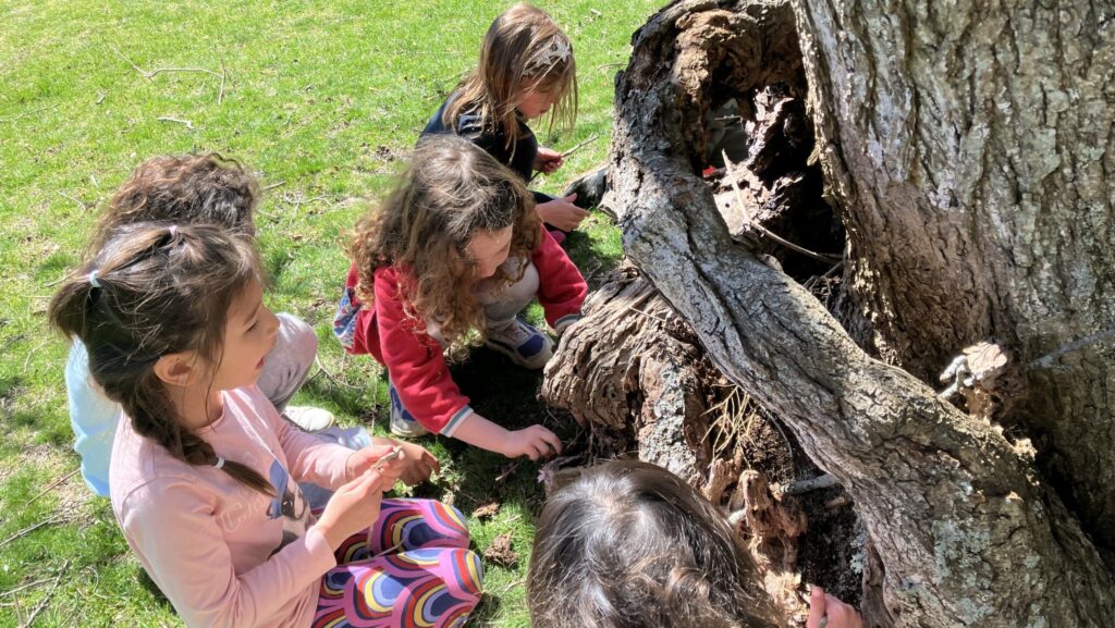 School Break - Children playing around a tree